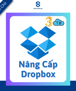 Dropbox Professional
