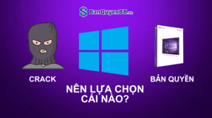 Windows